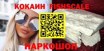 стаф Можга