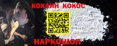 стаф Можга