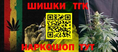 стаф Можга
