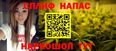 СК Моздок