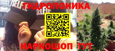 стаф Можга