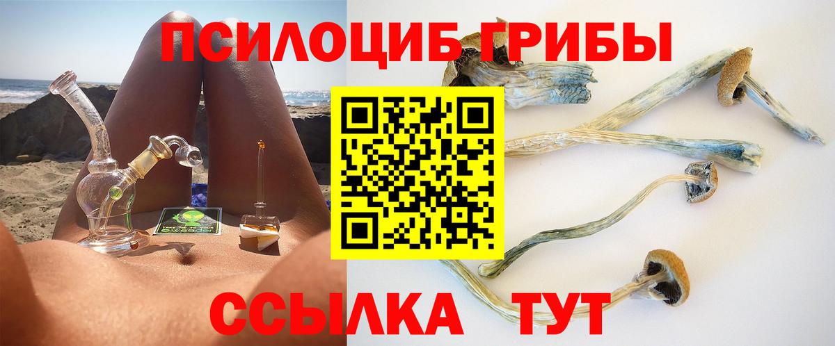 Галлюциногенные грибы ЛСД Владикавказ